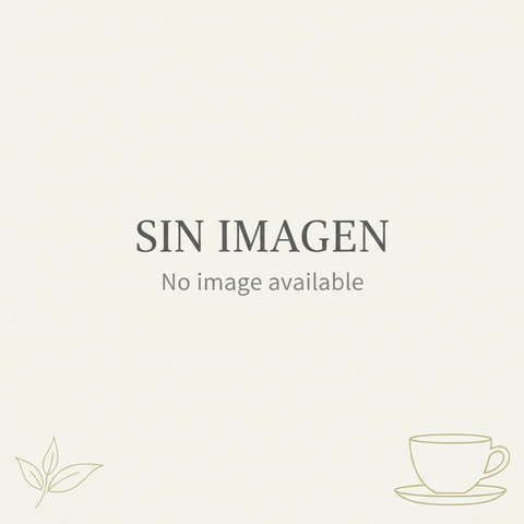 ENVIO SANTIAGO